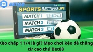 Kèo chấp 1 1/4 là gì? Mẹo chơi kèo dễ thắng từ cao thủ Bet88